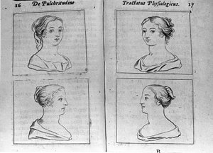 Les différents profils féminins. Page tirée de « Tractatus physiologicus de pulchritudine » traitant d