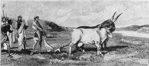 La fondation de Rome (gravure) - Unknown artist