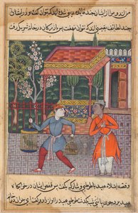 Le marchand de Tirmiz emmène le sage perroquet et le myna à 