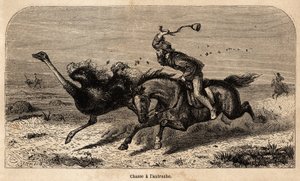 La chasse à l