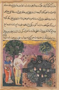 Le prince, ayant privé le serpent de sa nourriture naturelle, une grenouille, le nourrit avec un morceau de sa propre chair, des Contes d