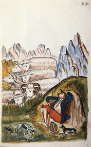 Le berger et son troupeau de moutons, du livre "Trujillo del Perú" ou "Codex Martínez Compañón", par Baltazar Martínez Compañón y Bujanda, évêque de Trujillo (1782-1785) - Unknown artist