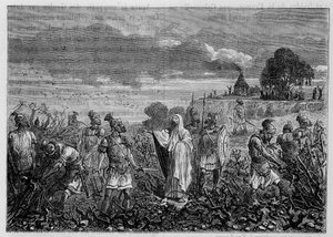 Les vignes arrachées en Gaule, par ordre de l