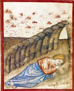 La vision de Joseph, fils de Jacob Miniature tirée du codex 212 (ou codex padovano ou Bible de Padoue)