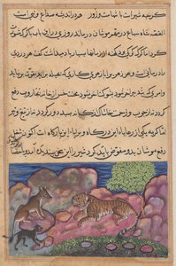 Le loup conseille au lion de consulter le chat, d