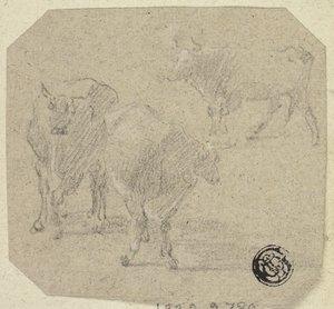 Trois vaches