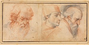 Trois études de têtes