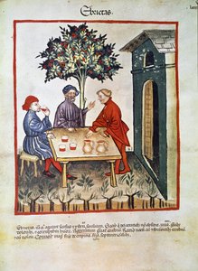 Traité de médecine : "l