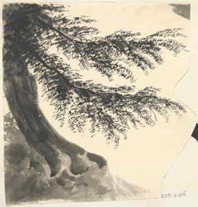Arbre - Unknown artist