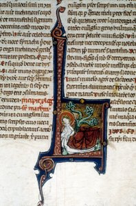 Arbre de Jessé, père du roi David - Unknown artist