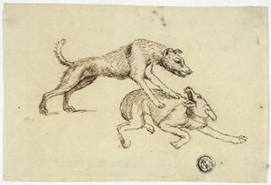 Deux chiens qui se battent