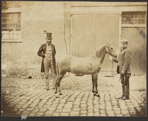 [Deux hommes et un cheval] - Unknown artist