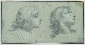 Deux vues de la tête d