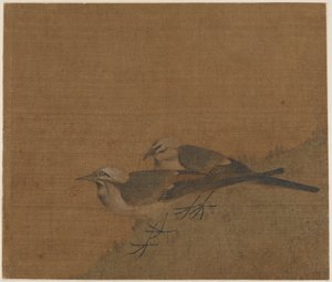 Deux bergeronnettes grises - Unknown artist