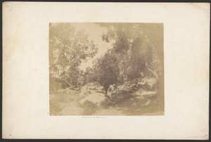 [Ulivi, Via de Palombara]. - Unknown artist