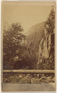 [Vue d