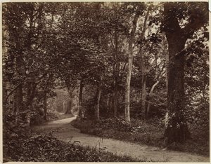 Sans titre (Paysage) - Unknown artist