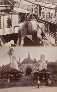 Sans titre : (éléphant chargé sur un bateau, recto) ; (marches et bâtiment, verso) - Unknown artist