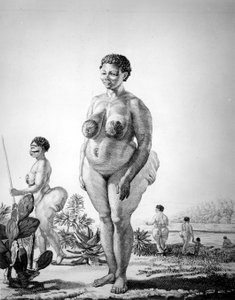 Vénus Hottentote d
