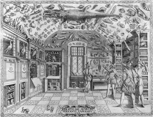 Vue du cabinet de curiosités (musée encyclopédique) du pharmacien Ferrante Imperato (1550 - 1631). Gravure de 1678. Musée de l