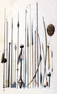 Armes des Indiens Jivaros - Unknown artist
