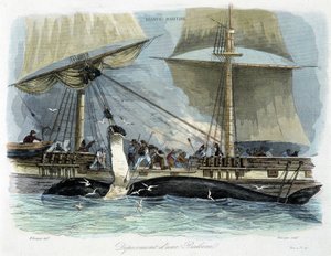Pêche à la baleine: le dépeçage - Unknown artist