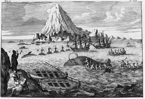Chasse à la baleine au large de l