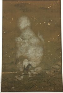 Poule blanche et poussins