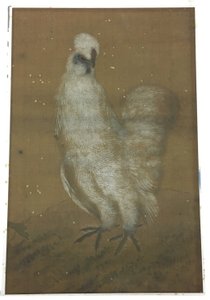 Coq blanc - Unknown artist