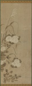 Chrysanthèmes blancs et herbes - Unknown artist