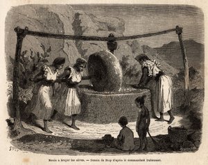 Travail des femmes, moulin à olives, l
