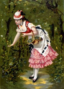 Jeune femme cueillant des fleurs. Chromolithographie