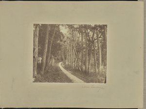 Avenue Tiendong - Unknown artist/maker