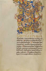 Habité Initial U