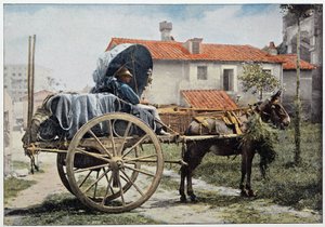 Un charretier transportant son vin. Rome, Italie, fin du 19ème siècle - Unknown photographer