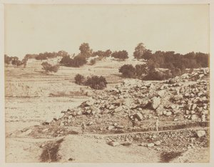 Camp de l