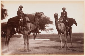 Camel Sowars au camp d