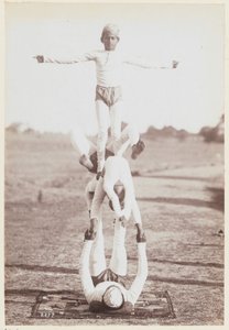Gymnastique au camp d
