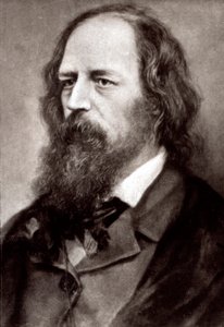 Portrait en buste du célèbre poète anglais Alfred Tennyson - Unknown photographer