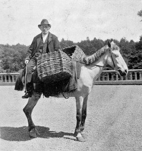 Irlandais sur son cheval (19ème siècle) - Unknown photographer