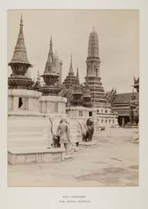 Photographie dans un album photo - Unknown photographer