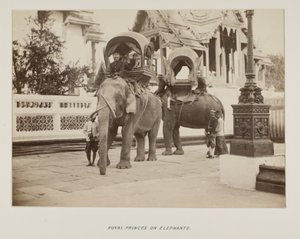 Photographie dans un album photo - Unknown photographer