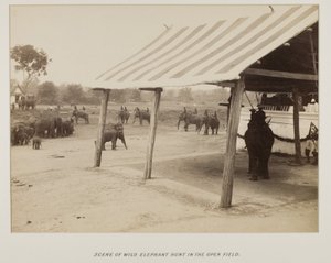 Photographie dans un album photo - Unknown photographer