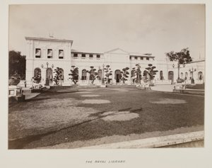 Photographie dans un album photo - Unknown photographer