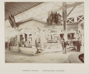 Photographie dans un album photo - Unknown photographer