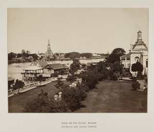 Photographie dans un album photo - Unknown photographer