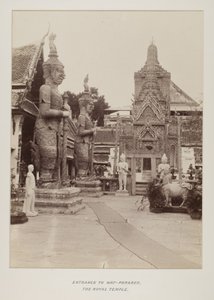 Photographie dans un album photo - Unknown photographer