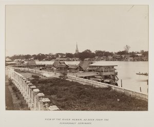 Photographie dans un album photo - Unknown photographer