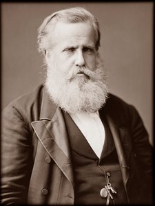 Portrait de Dom Pedro II (Pierre II) (Dom Pedro de Alcântara) (1825-1891), empereur du Brésil - Unknown photographer
