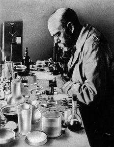 Portrait du médecin allemand Robert Koch (1843-1910) dans son laboratoire - Unknown photographer